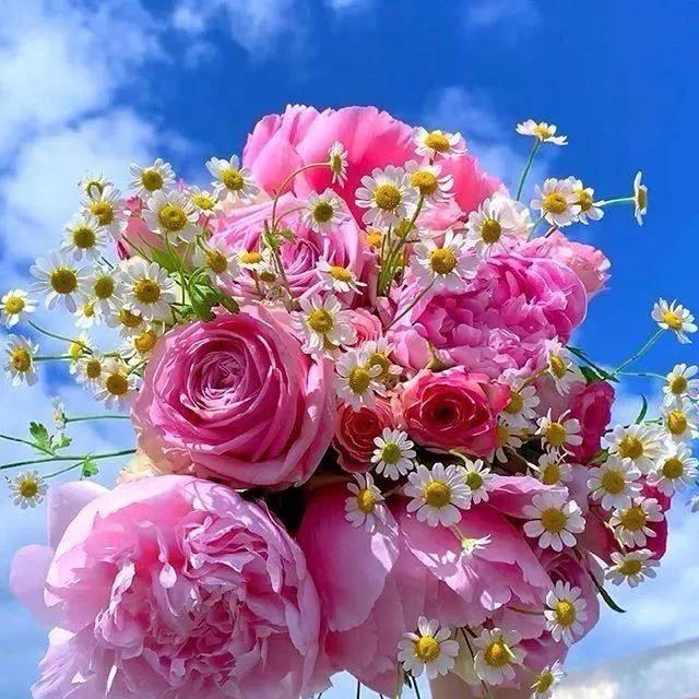 汝州花姐