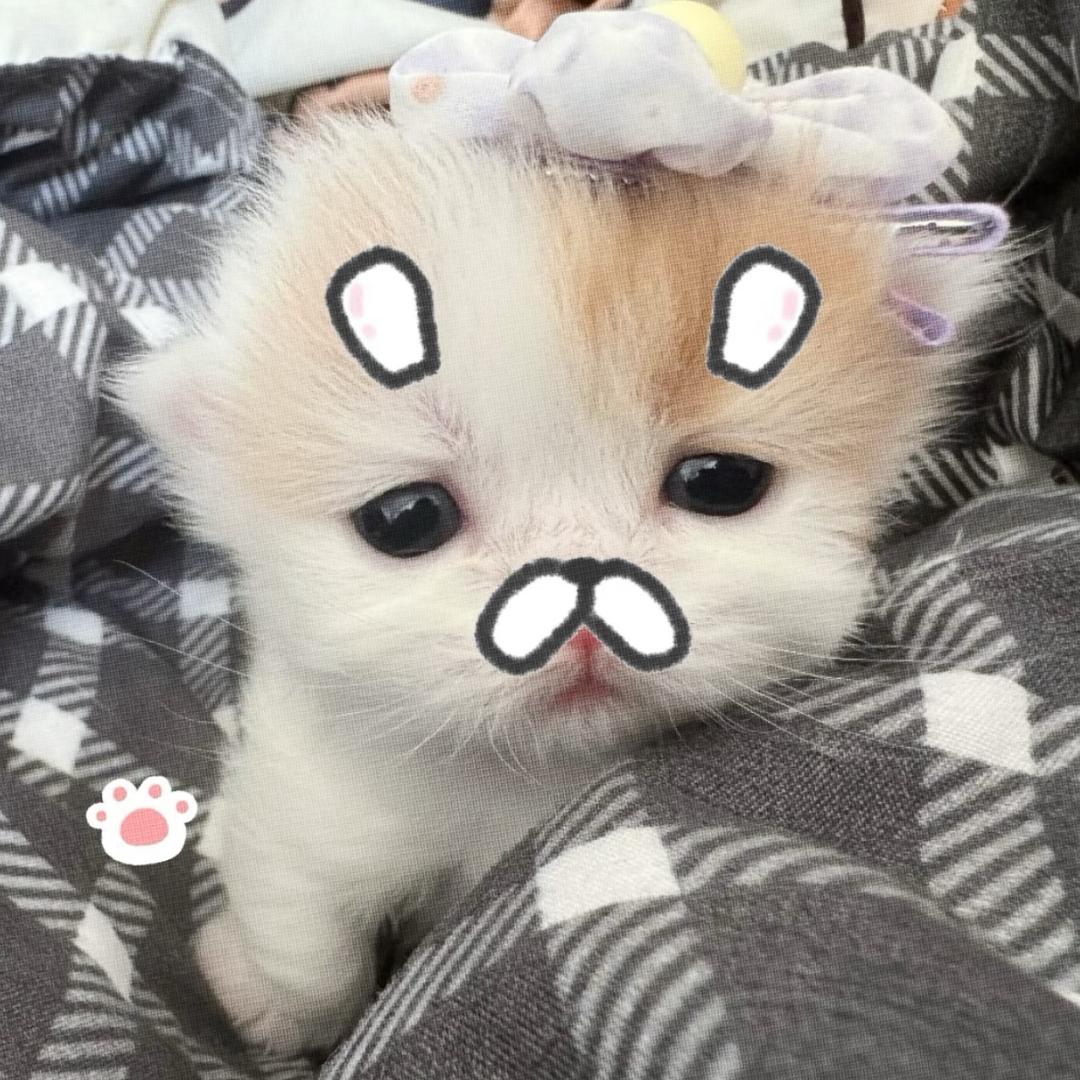 片刻