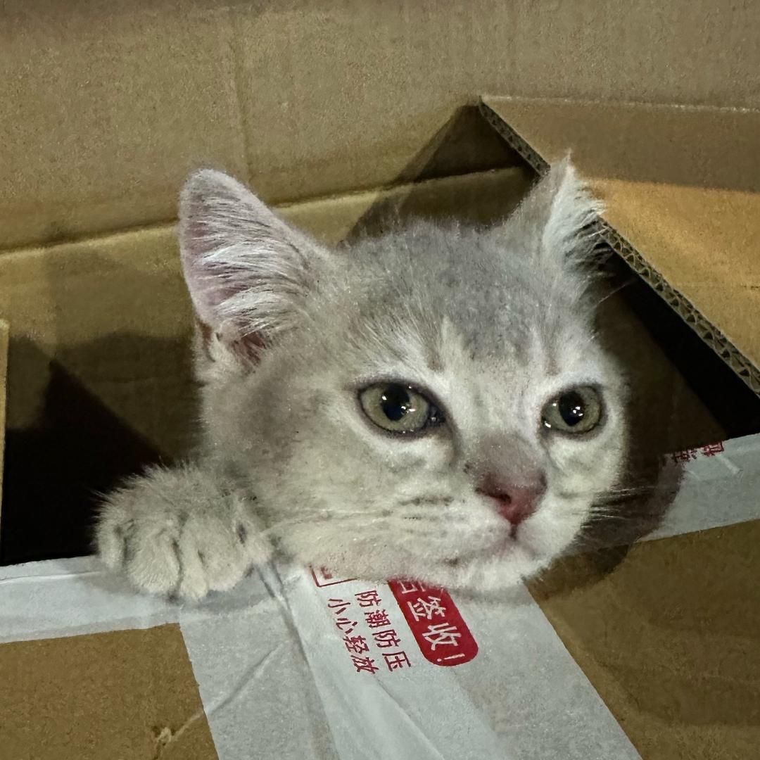 AAA 建材批发老板