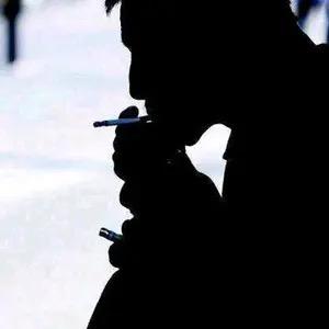 清风归途