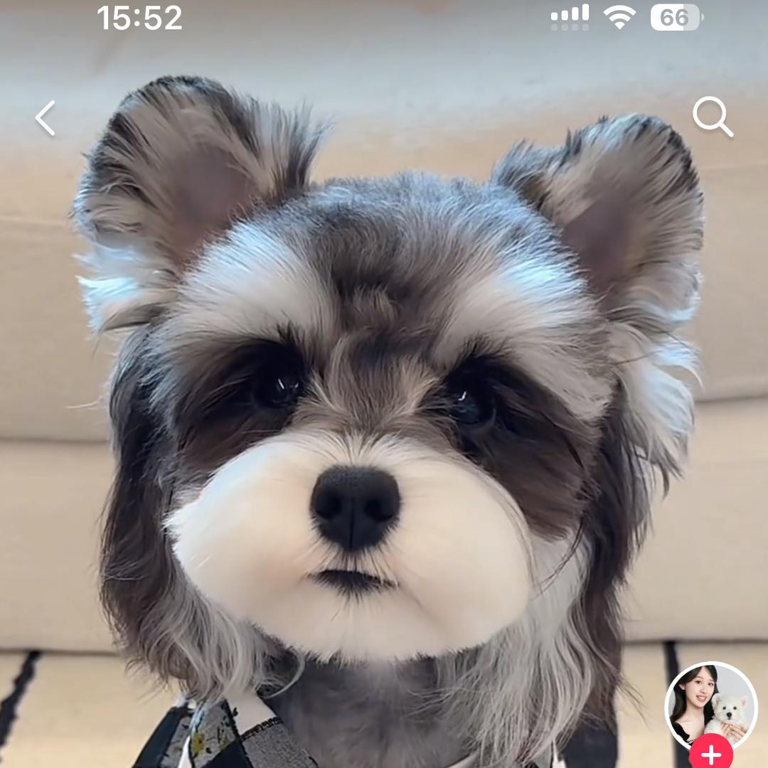 诸城超凡宠物养殖基地2