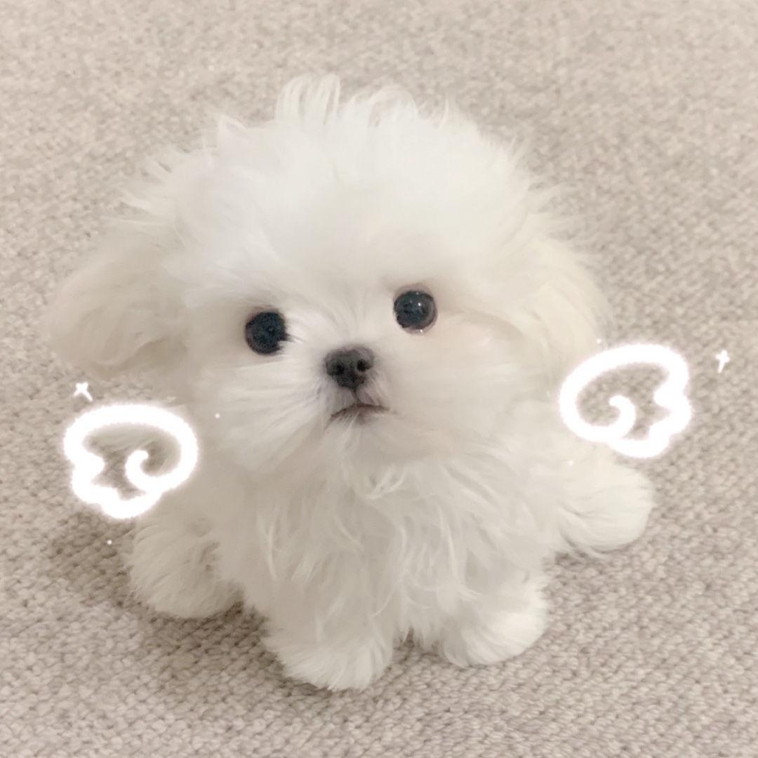 漂亮小陈