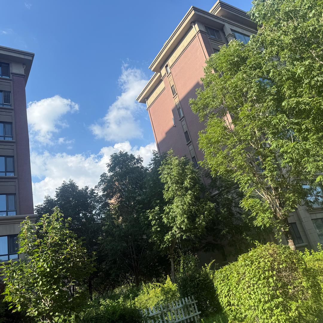 我想看看外面的世界