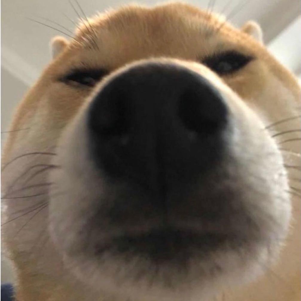 你什么学历直播切片