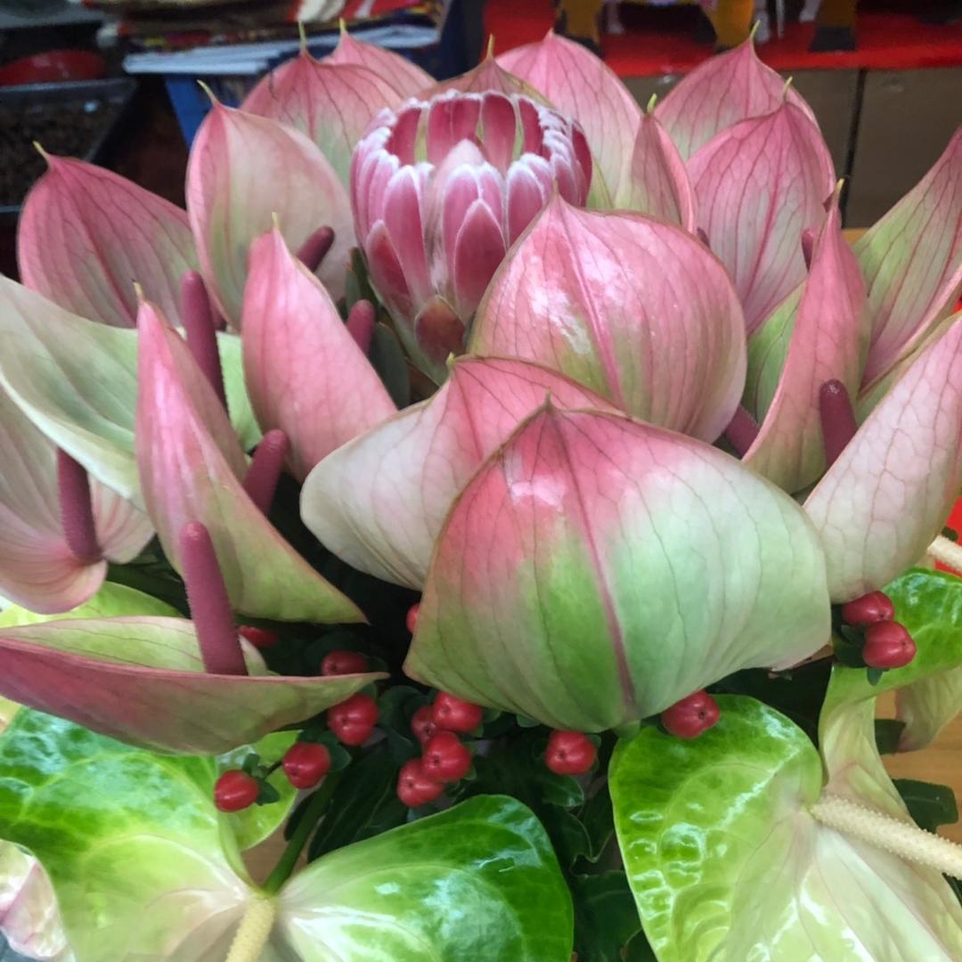 妈祖（佛莲）小号