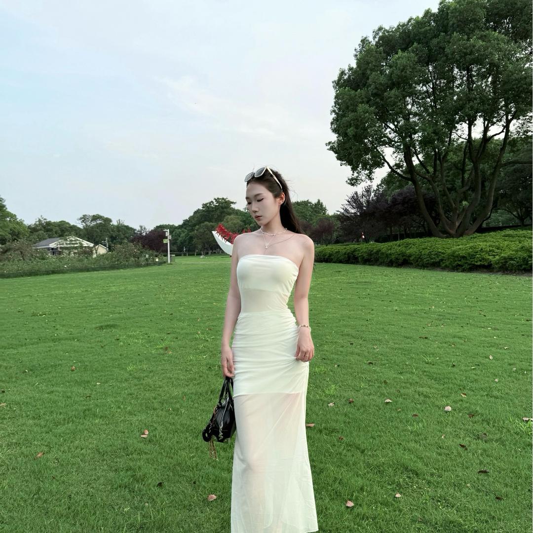 鱼儿🐟