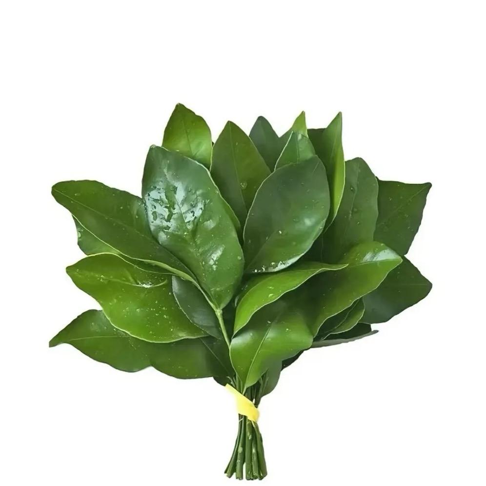 铭汐-金米莱🌈🌻🍔🍔🍀