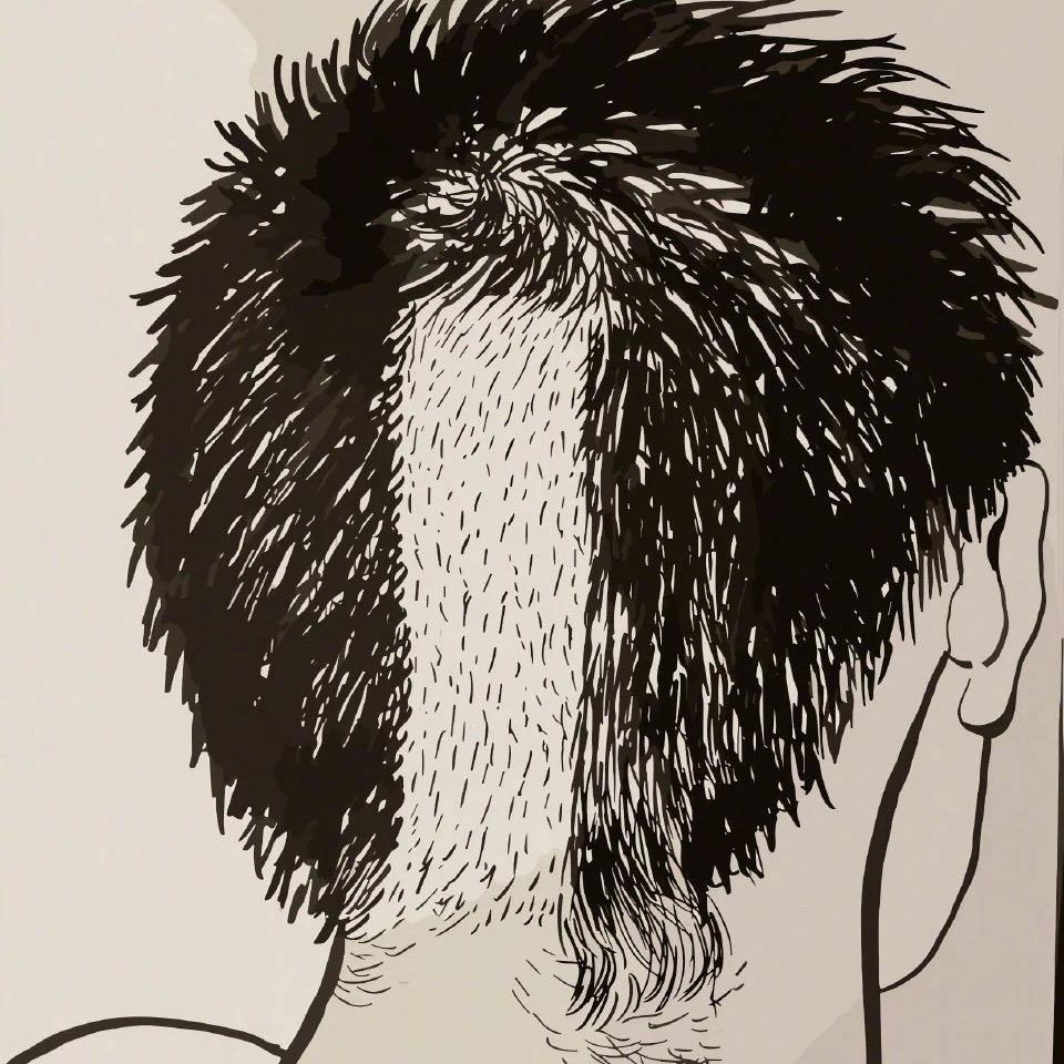 一把逍遥扇
