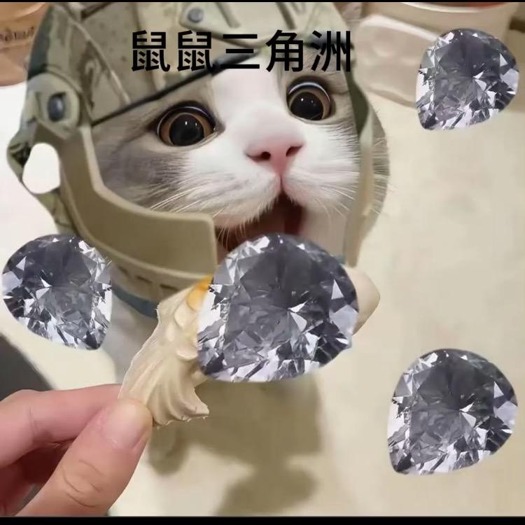 小y三角洲