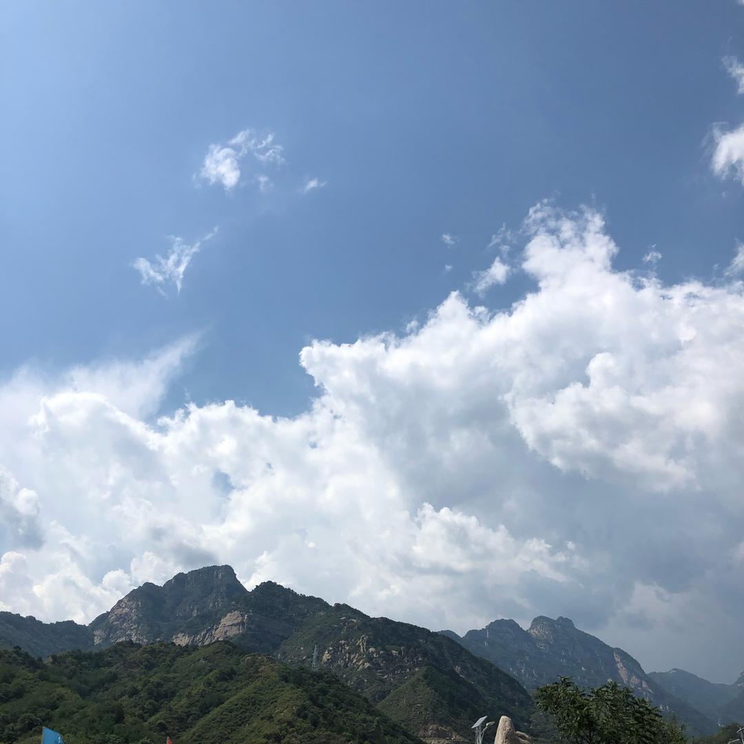 恋曲谱的都是你