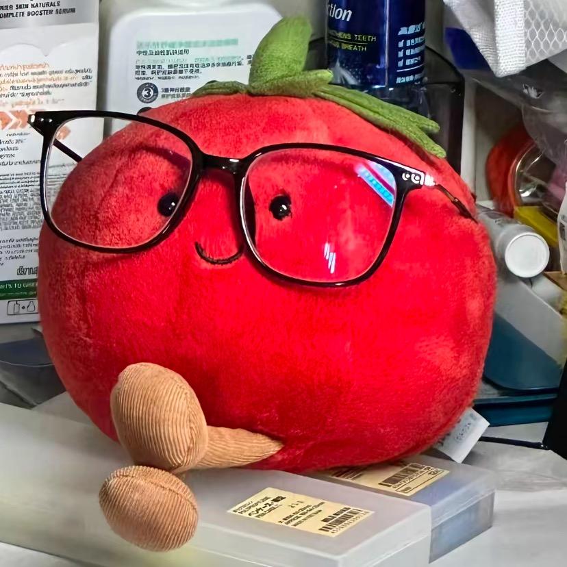 重生之我在小米店打工