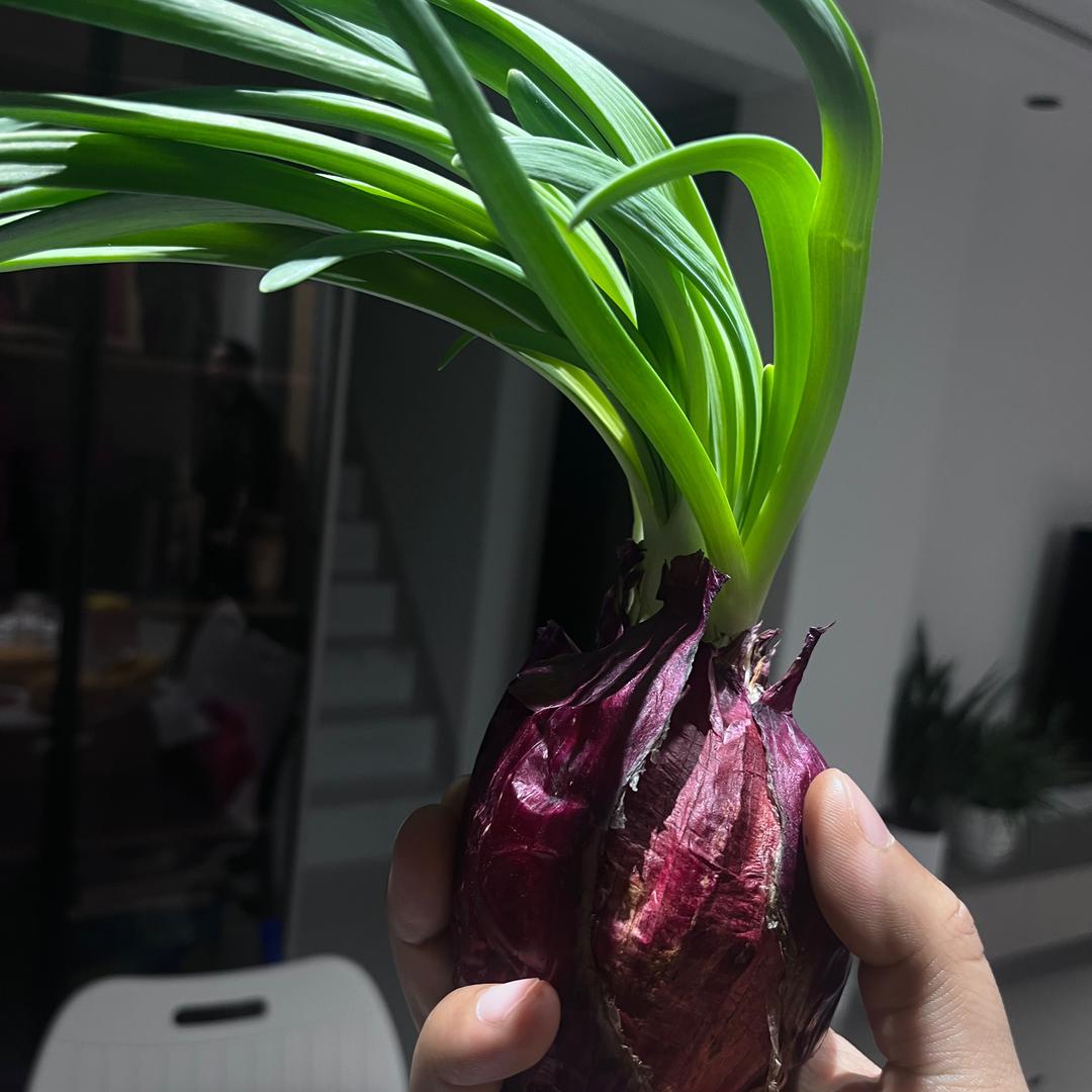 重生之在黔小递