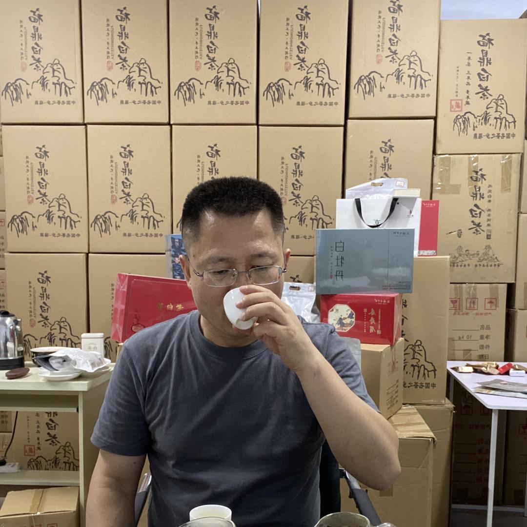 巨树甄选
