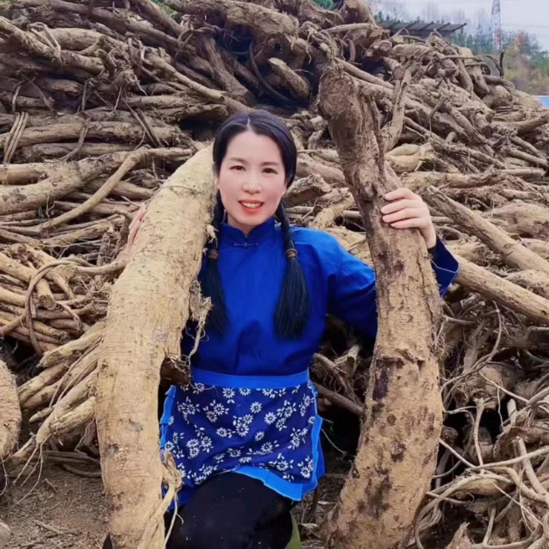 老谭姐