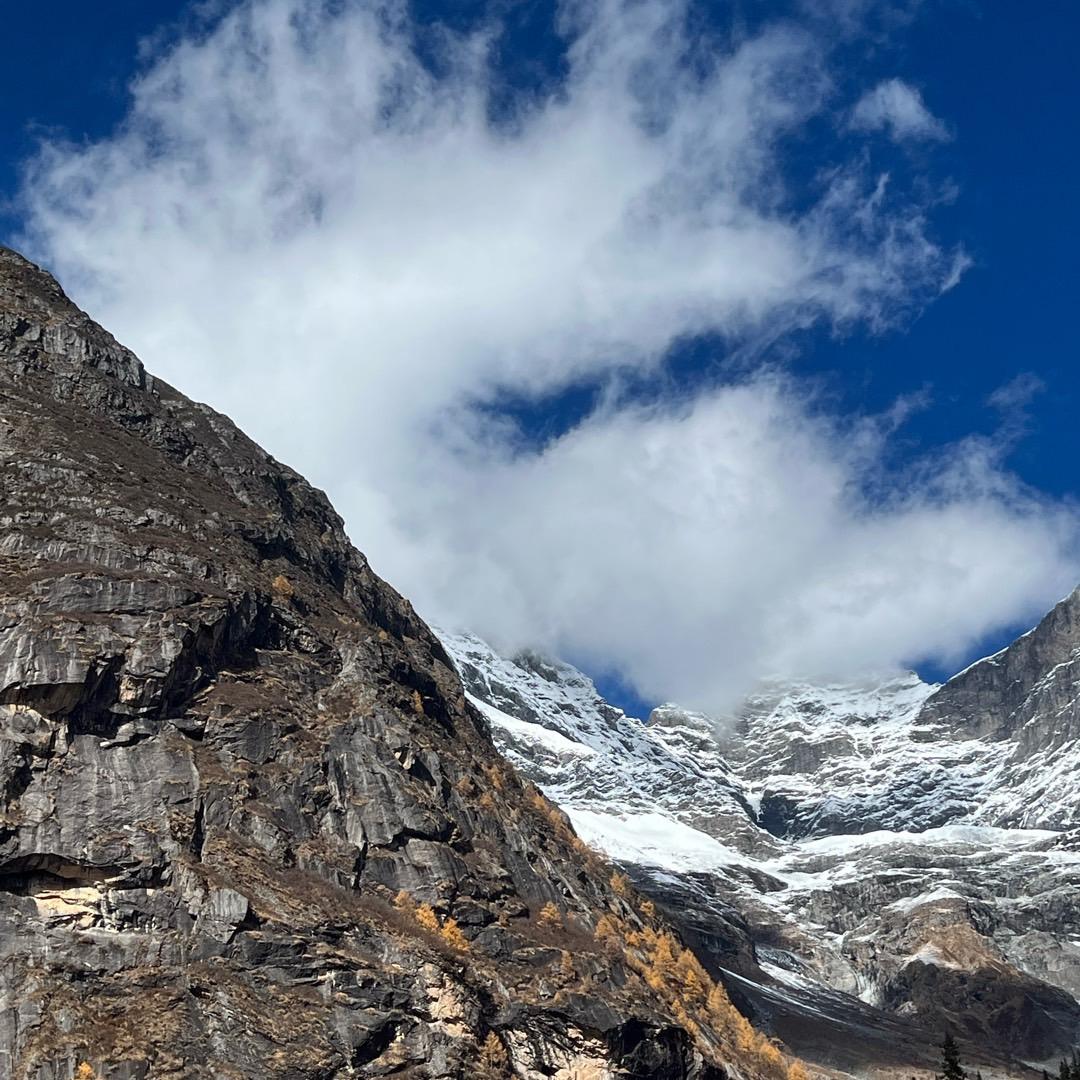 哈音车载音乐🎶