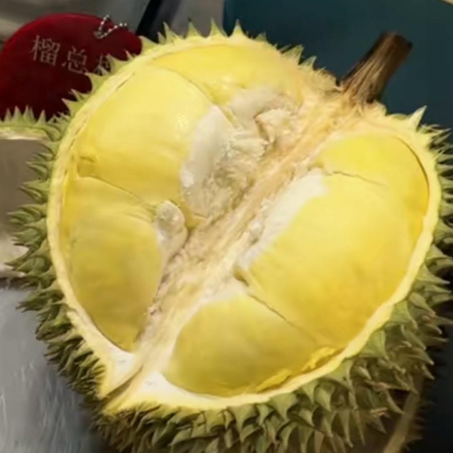 江门市蓬江区黑马马商行（个体工商户）