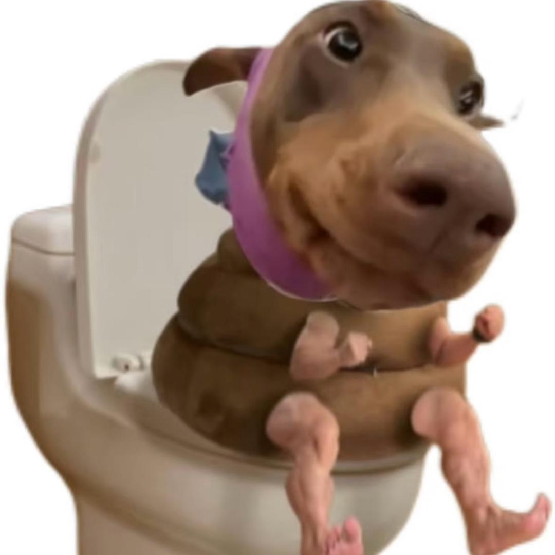 AAA马桶回收小张