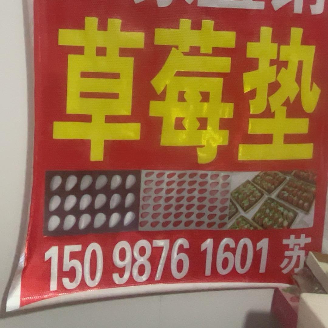 海绵宝宝.果依恋