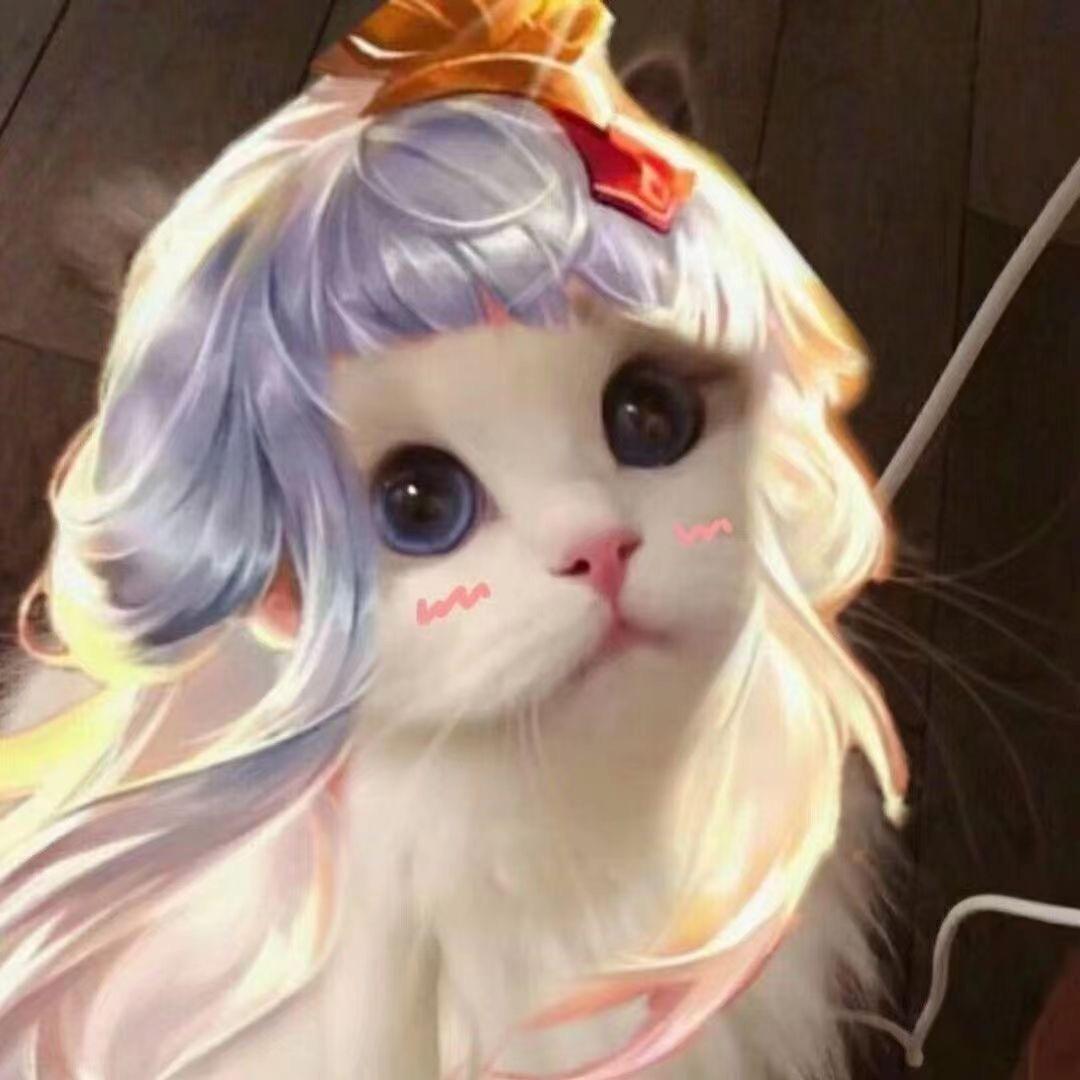 七彩猫（昭君之神）@抖音