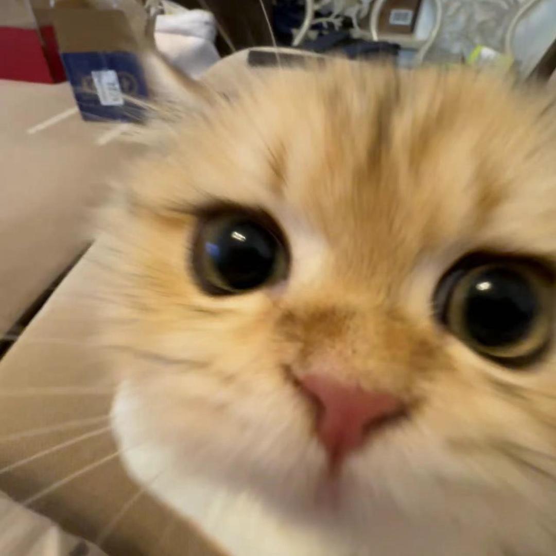 Hhhhhwwqhb