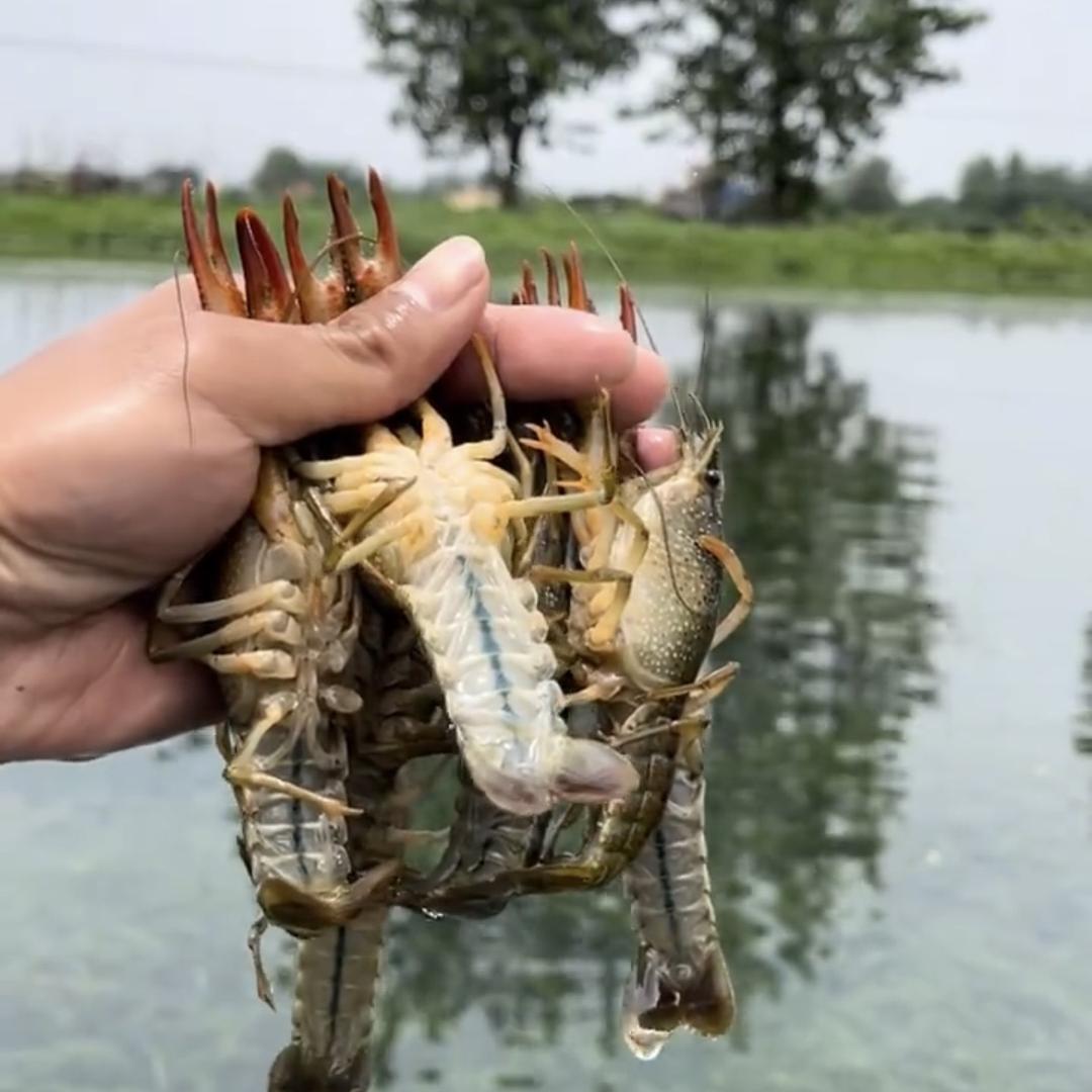 潜江孙姐生鲜