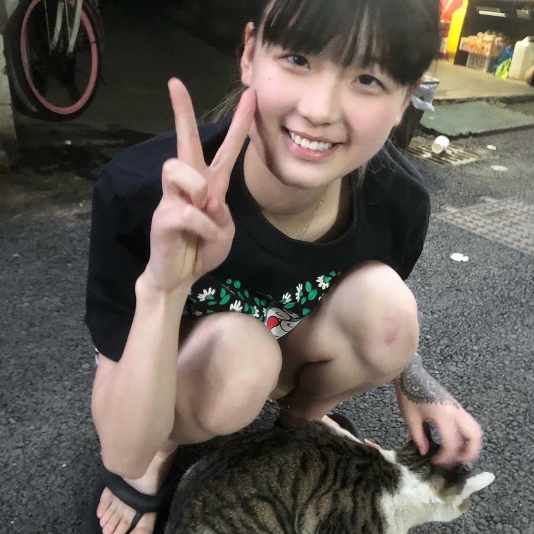 陈美嘉