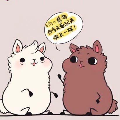 驻马店赖老师中宫格练字-国家高级钢琴调律