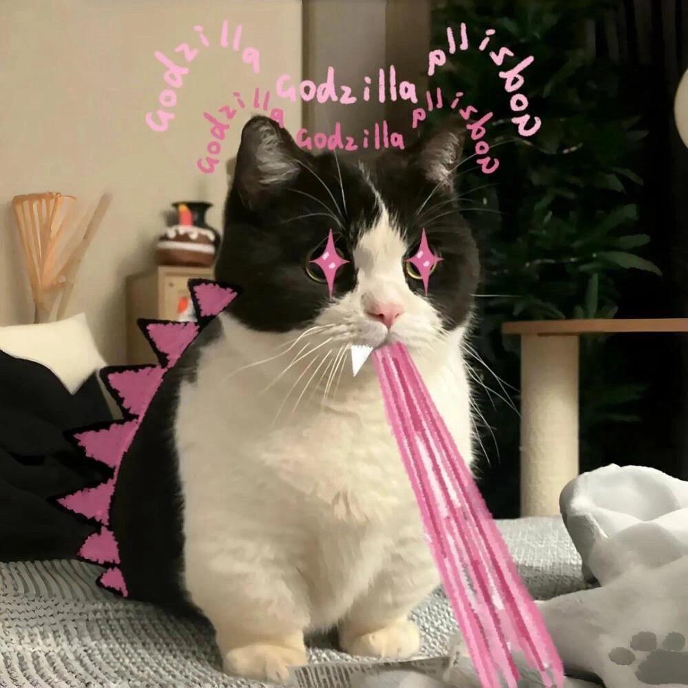 憨憨小狗