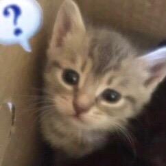 【文件】all黑崎一护本子.zip