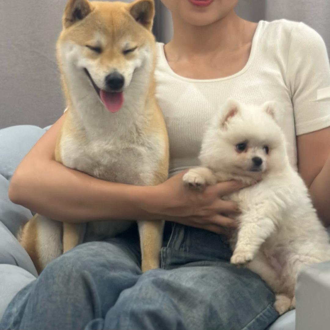 咕咕仔宠物创意屋