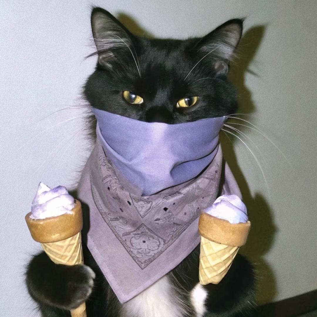 Ronronner🐈🐱🐾😼