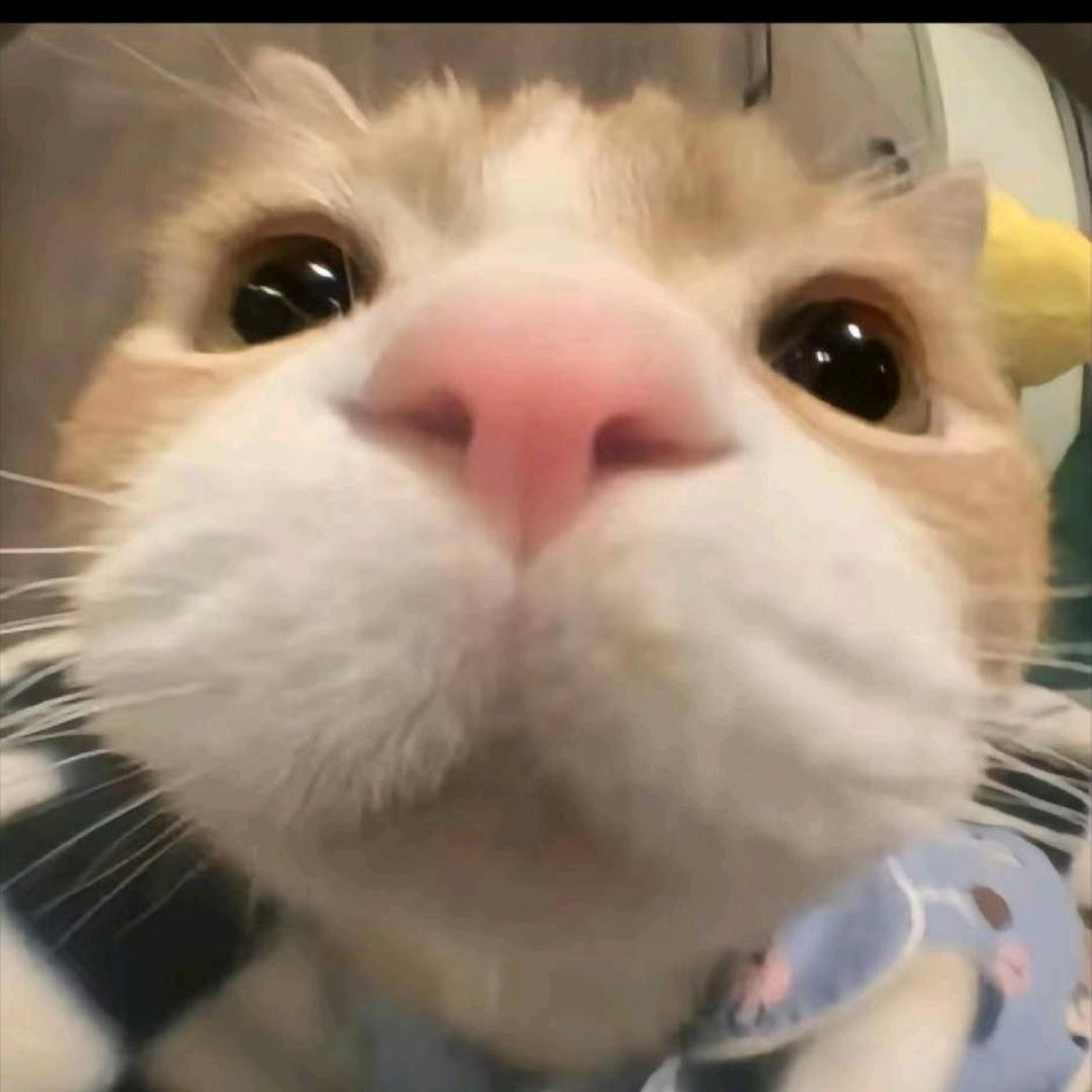 🌈霸道财神爷爱上我🅴