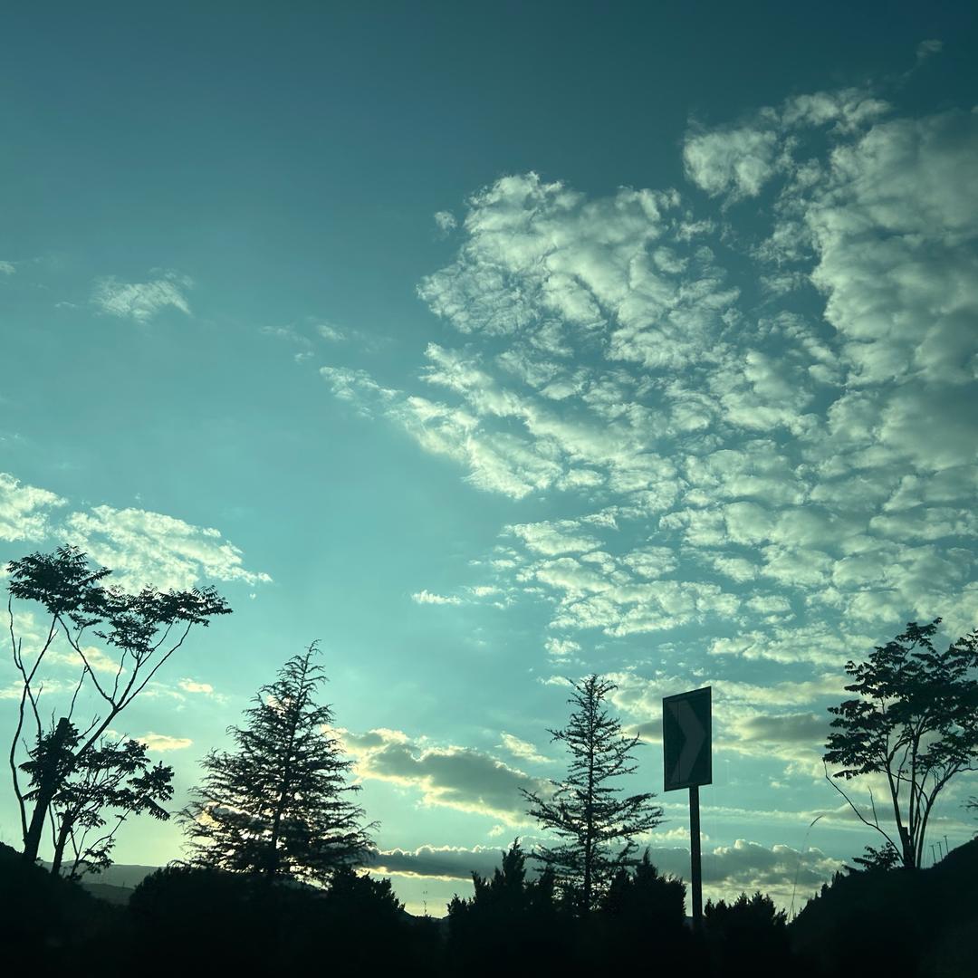 九月18（拒绝内耗）