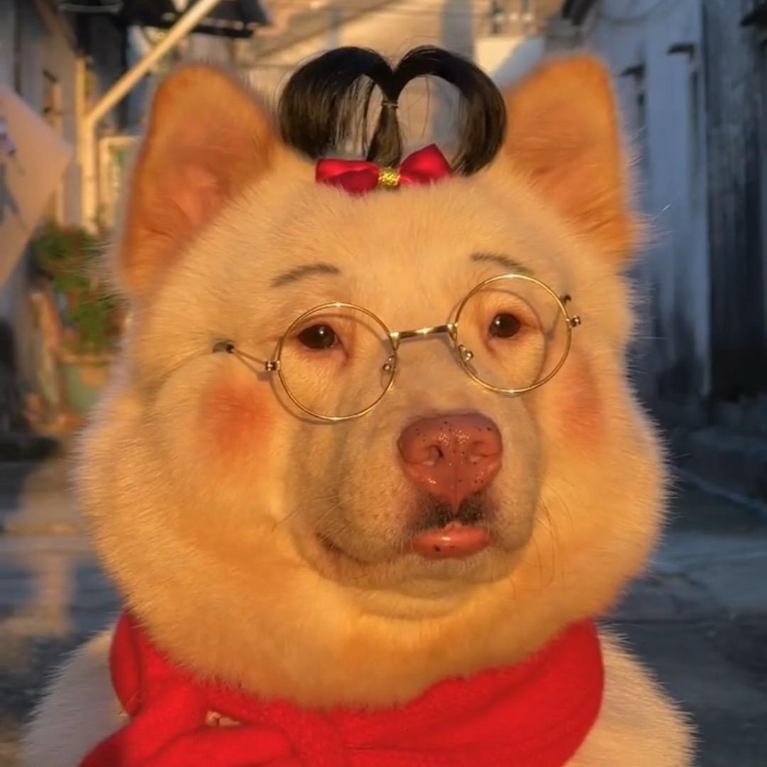 🐻🐻🐻