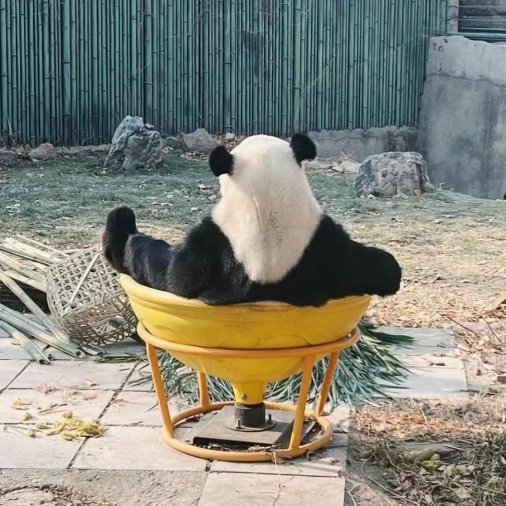 早睡晚起多熬夜🌱