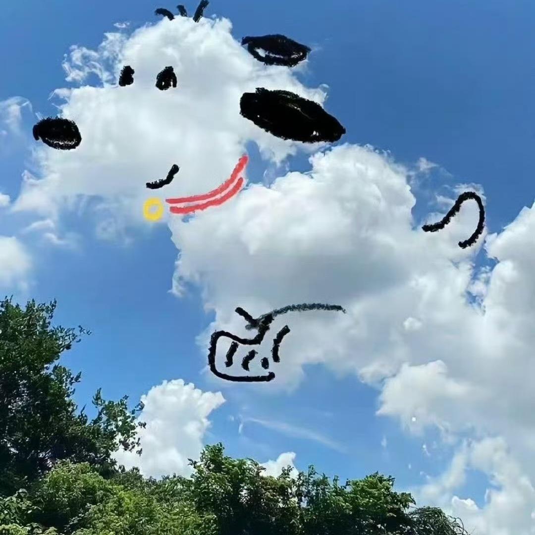 。。。。。。。