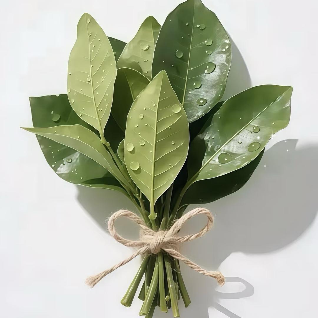 李任性