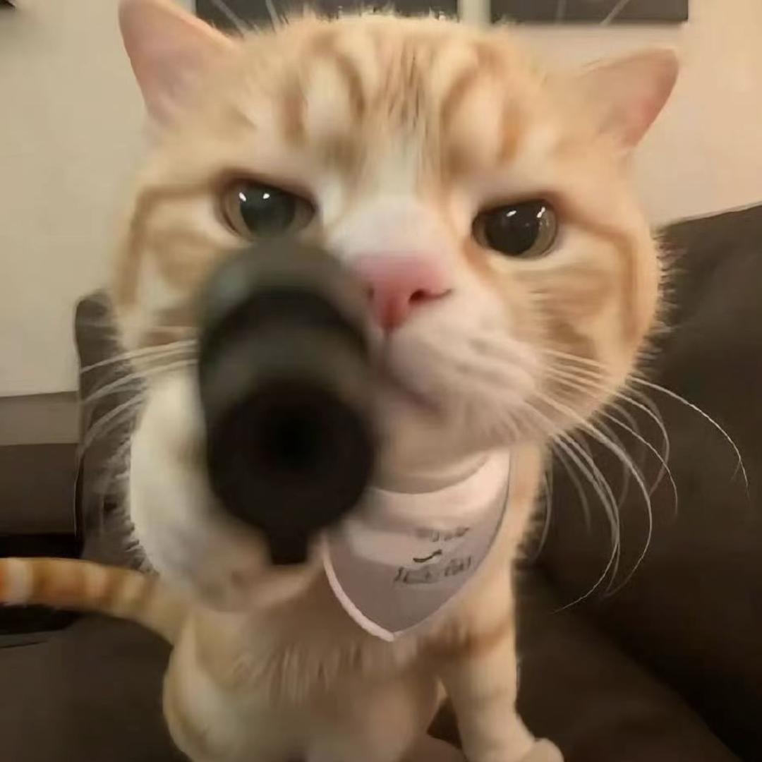 所愿
