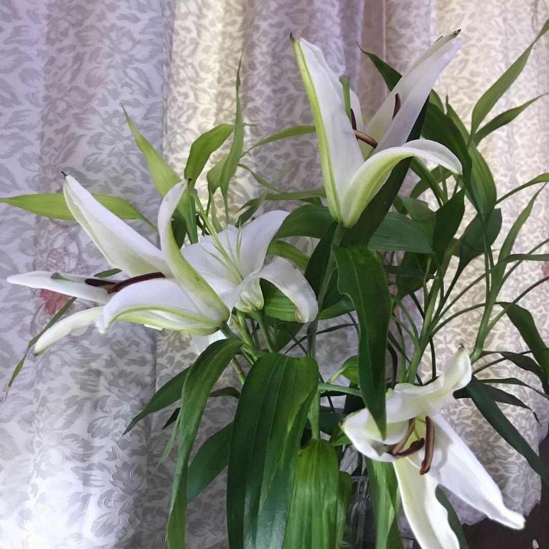 悠哉