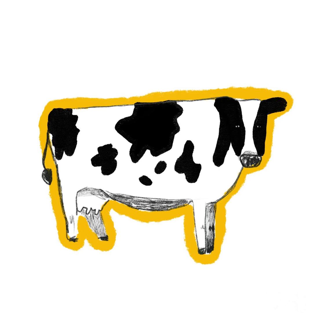 牛提金🐮