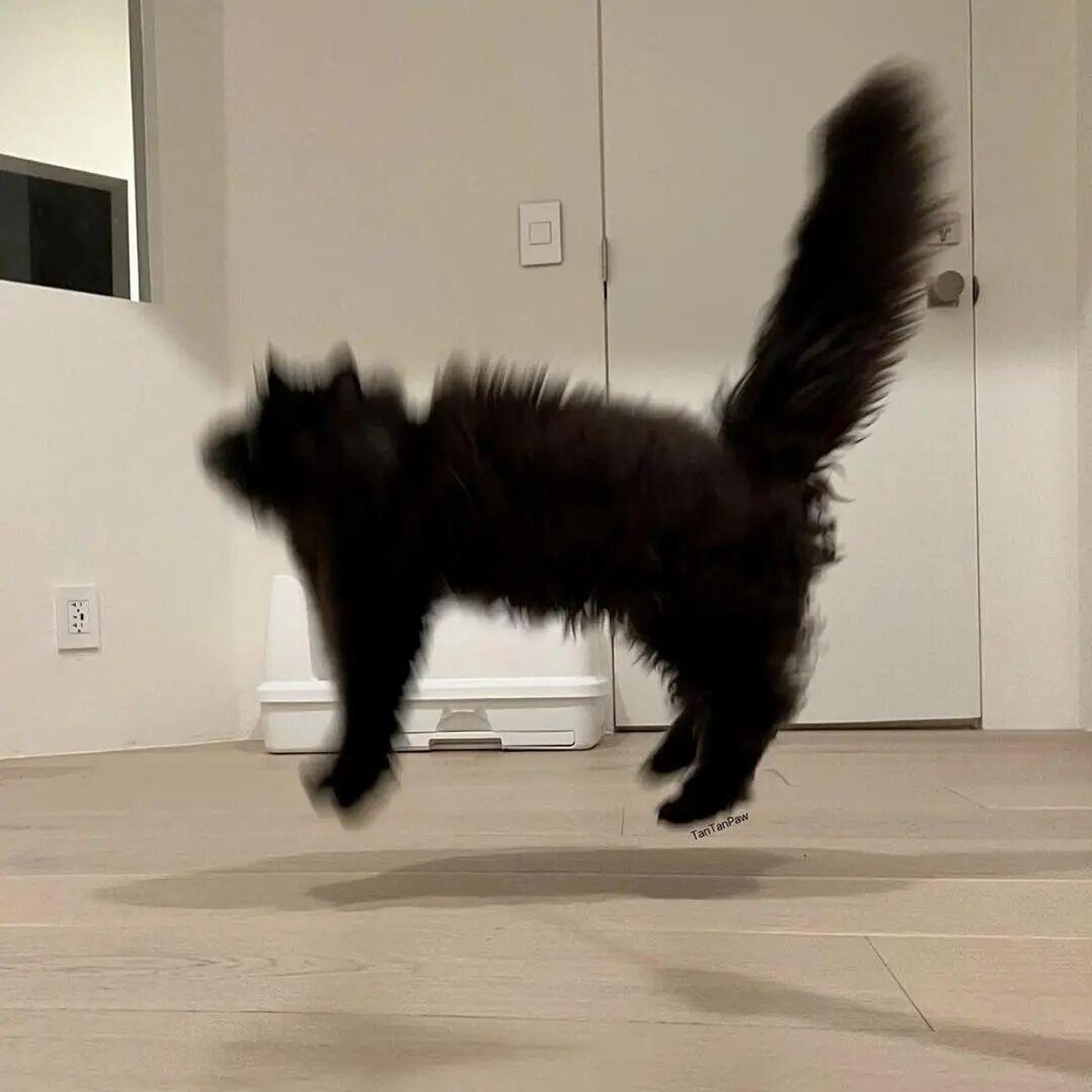 屎到淋头还想搅便