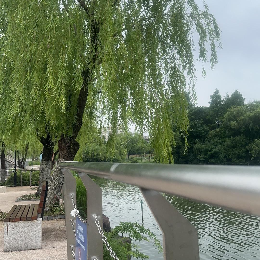粉粉姐