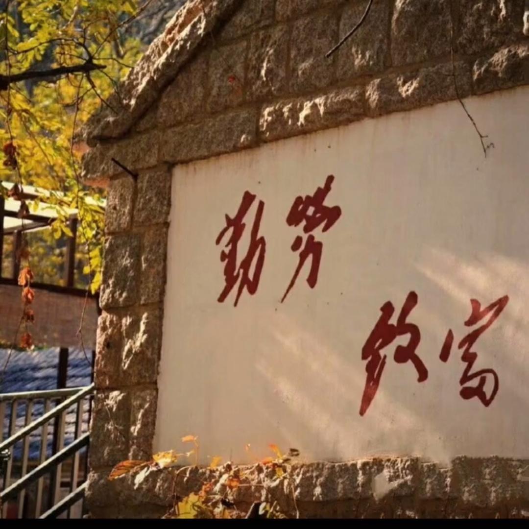 一条大白鱼🐟