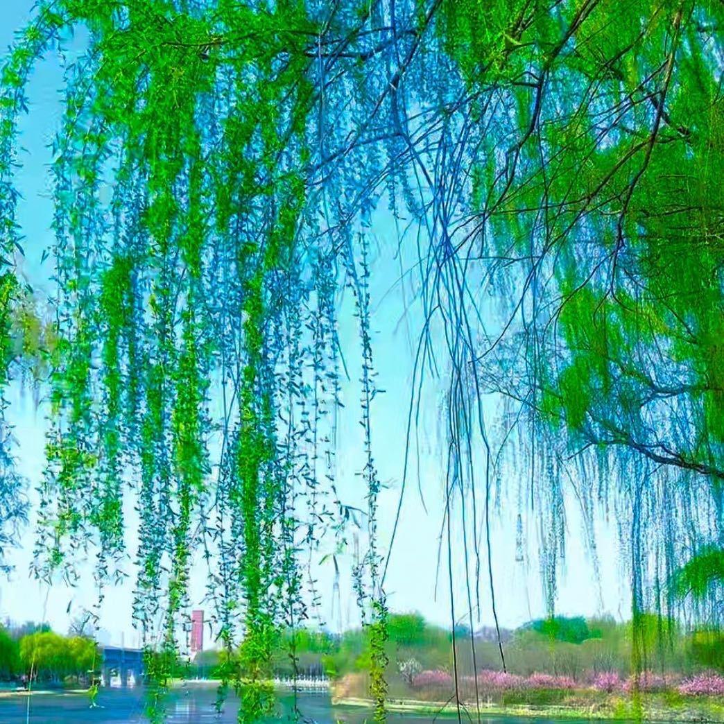 你是我的小骄傲