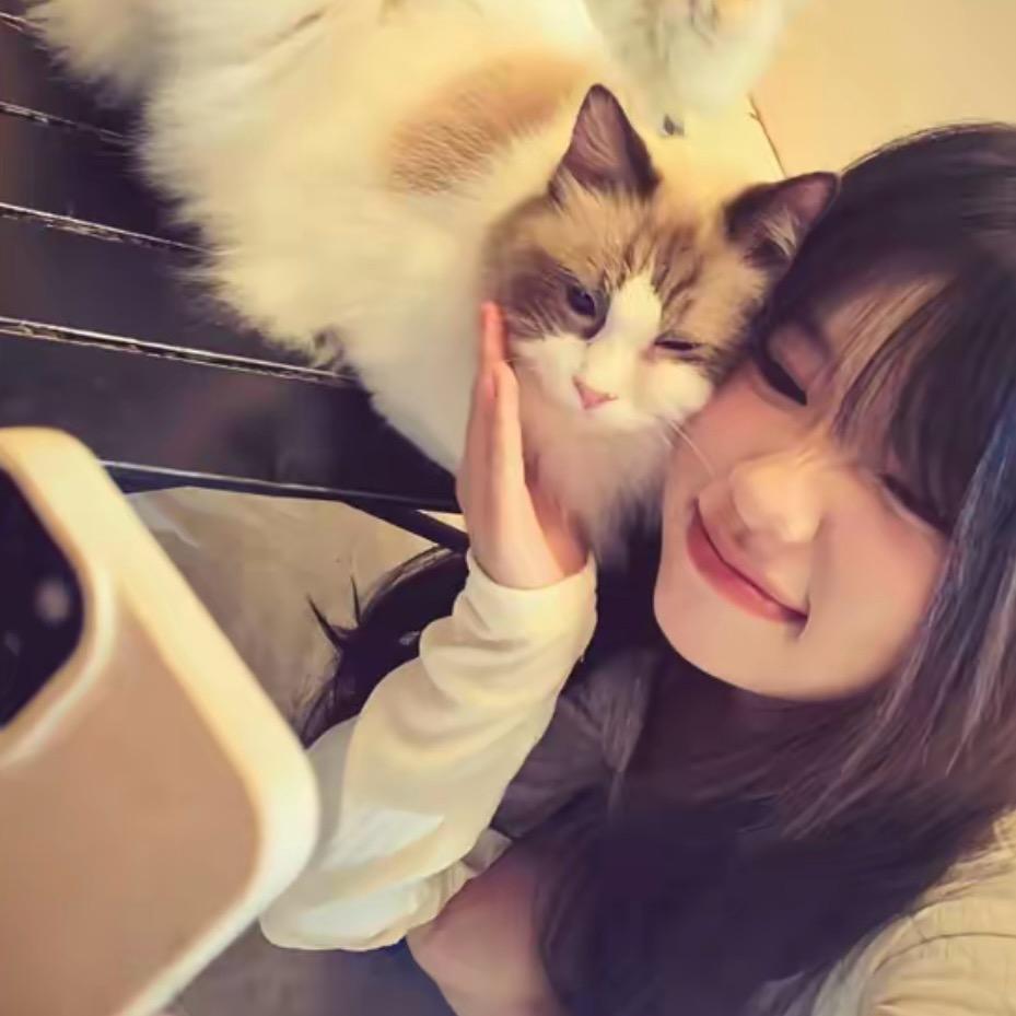 晚安..