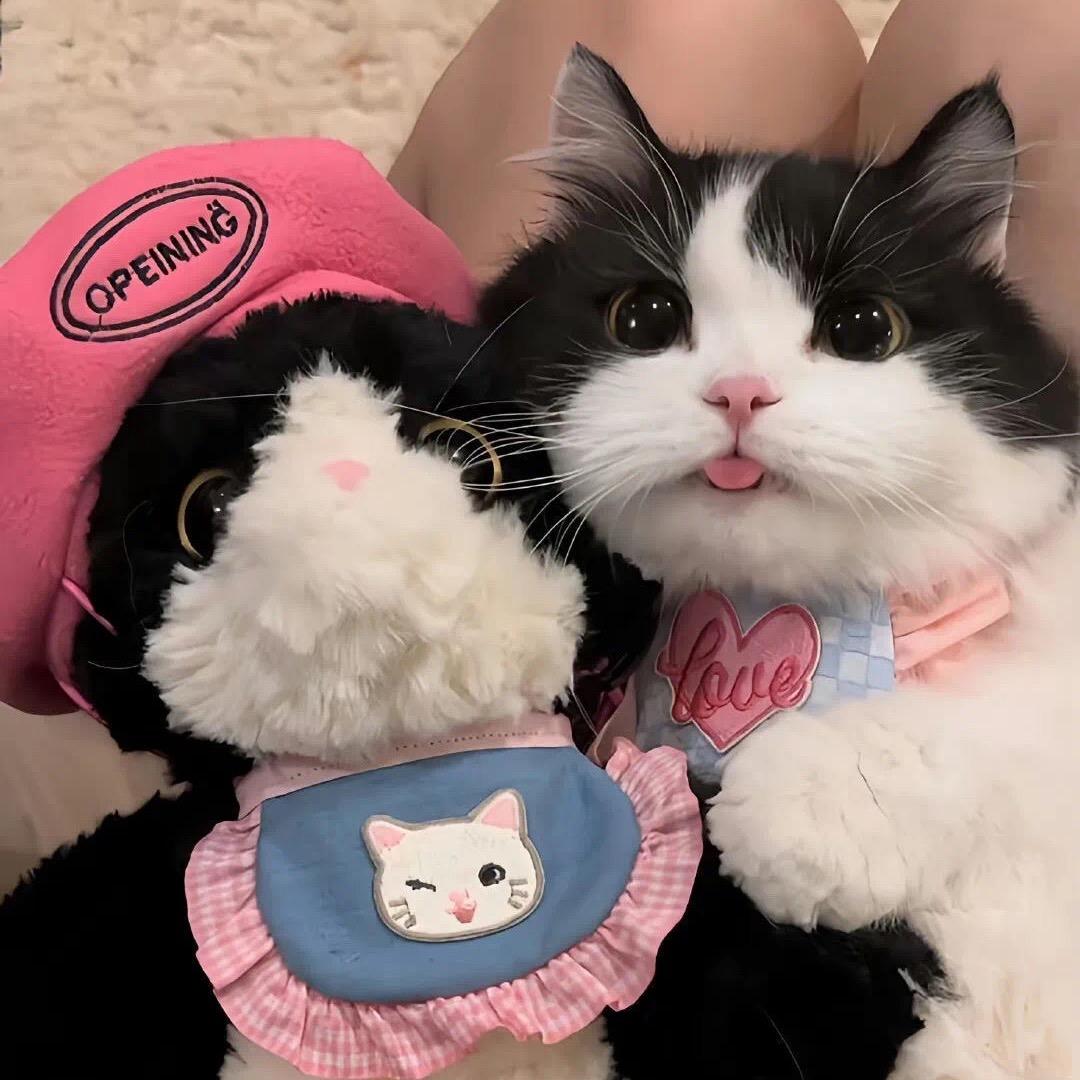 钩织织织织织织