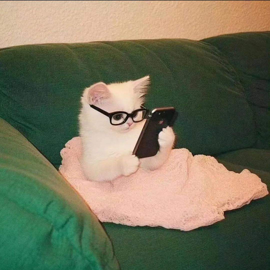 歪酱.