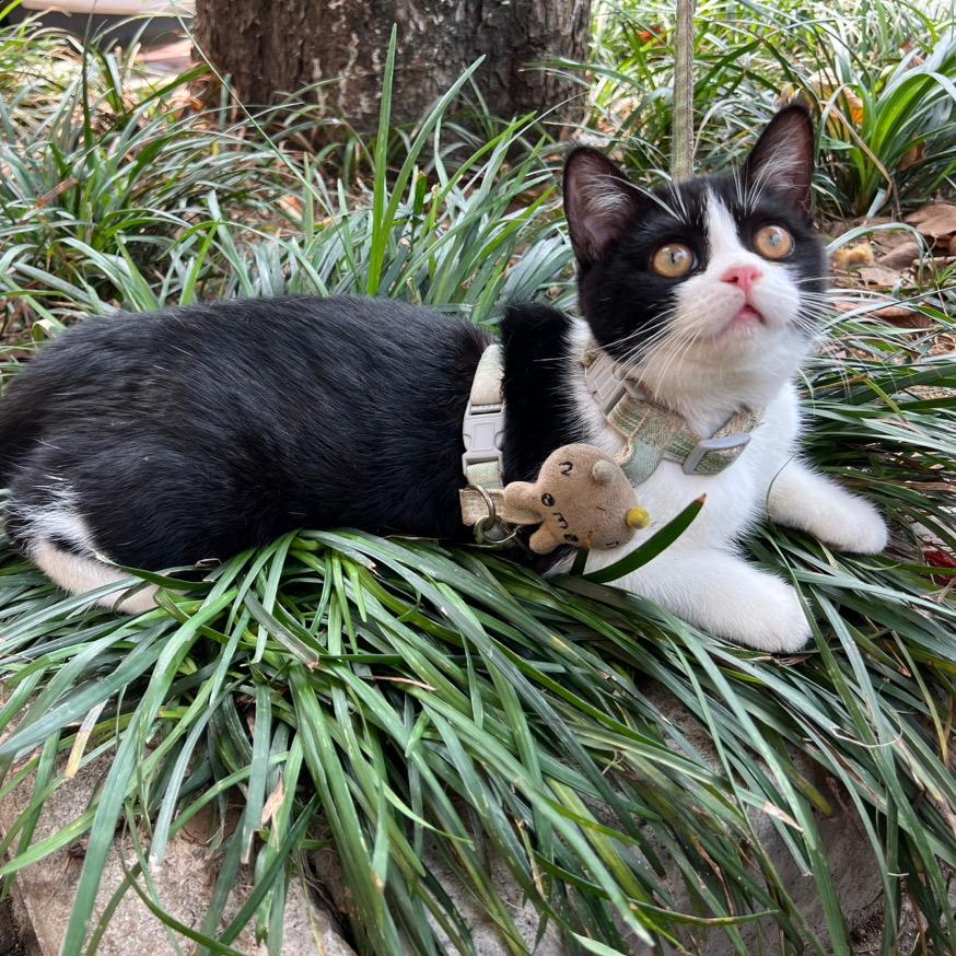 创造自己的味道