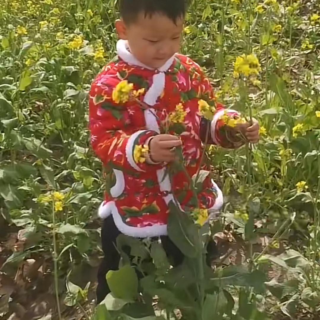 淘宝奶奶