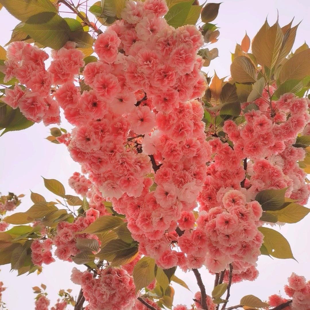 遇❤️见
